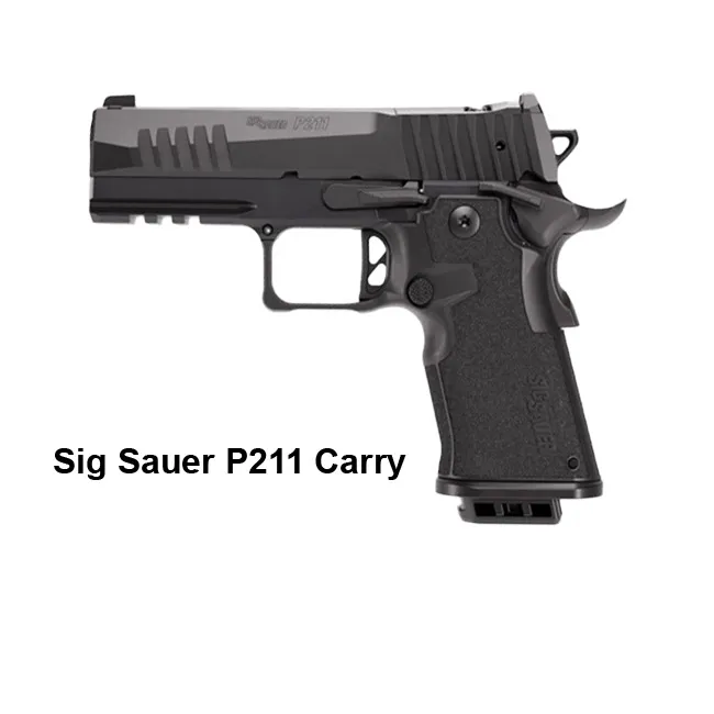 Sig Sauer P211 Carry - Image 1