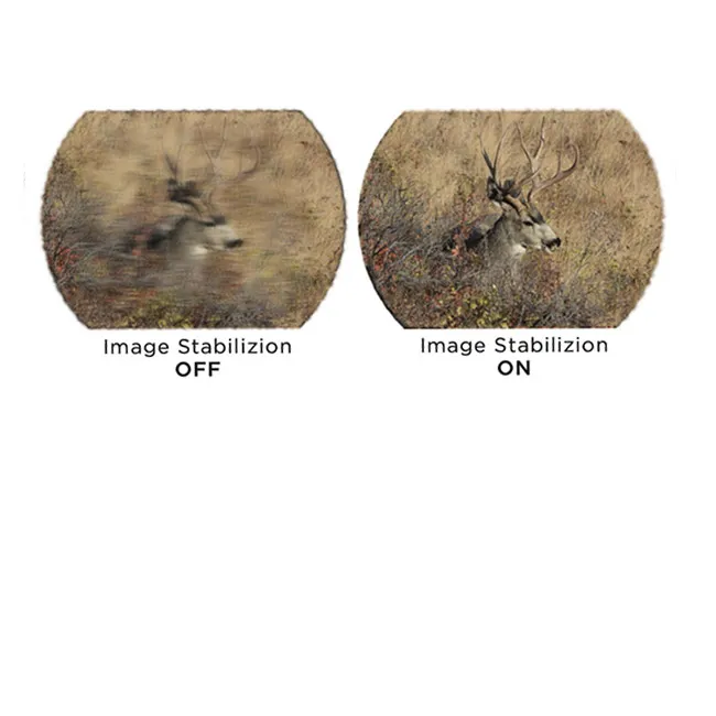 SIG Sauer ZULU6 HDX OIS Binocular (12X42) - Thumbnail 4