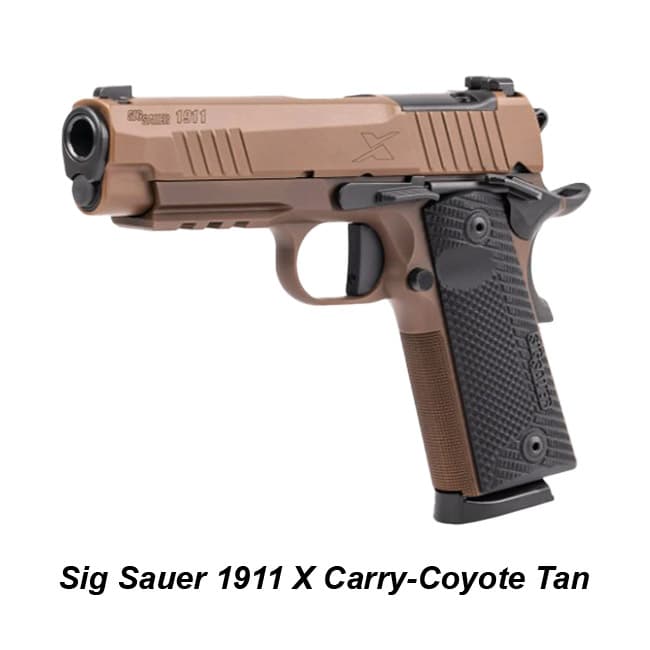 Sig Sauer 1911 X Carry - Thumbnail 3
