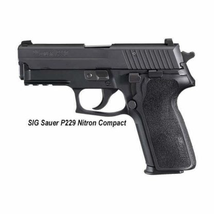 Sig P229 Nitron Compact 1